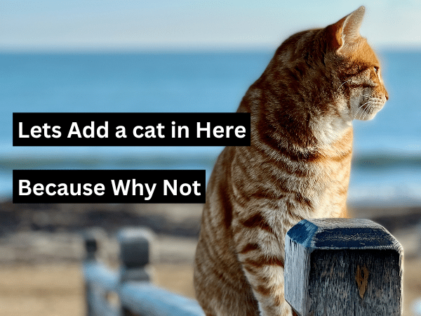 How To Use ChatGPT for Side Hustle Ideation